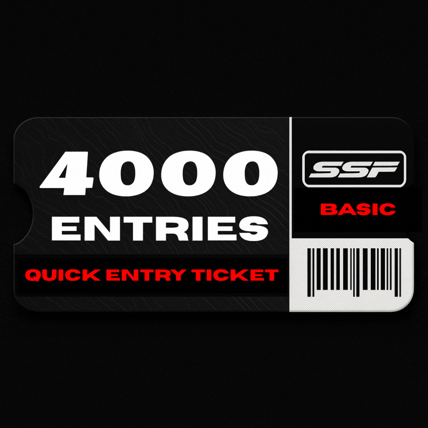 BASIC ENTRY PACK - 4000 ENTRIES
